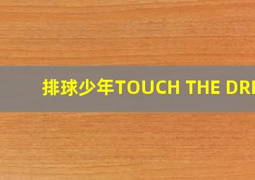 排球少年TOUCH THE DREAM